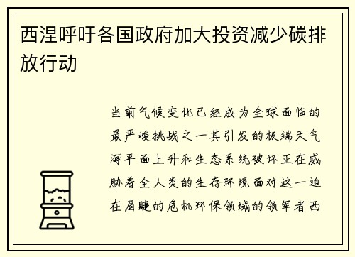西涅呼吁各国政府加大投资减少碳排放行动
