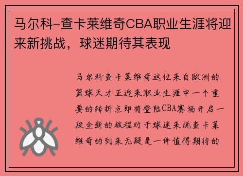 马尔科-查卡莱维奇CBA职业生涯将迎来新挑战，球迷期待其表现
